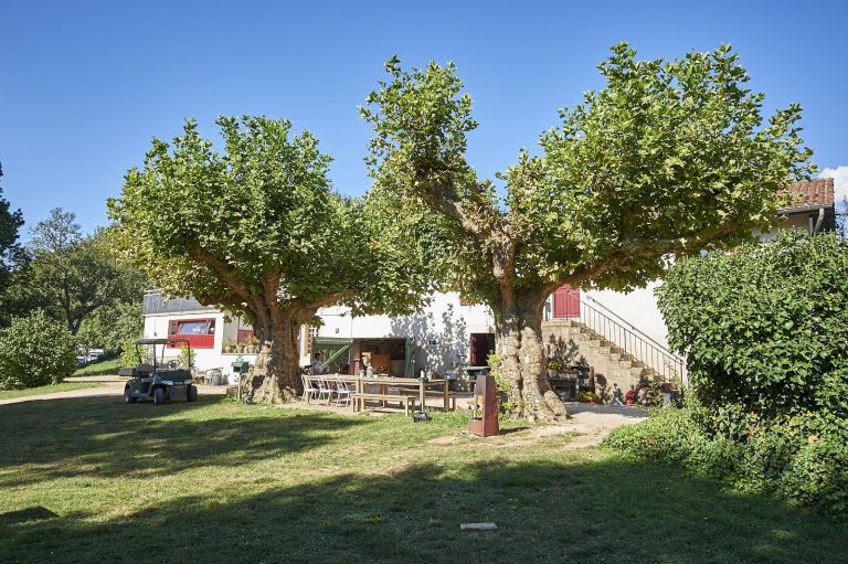 Camping Aux Rives Du Soleil terras 768x511