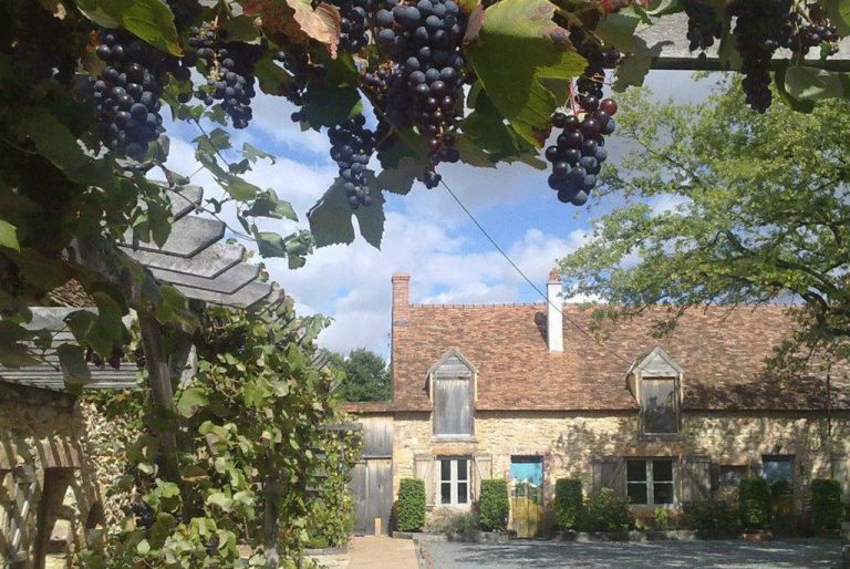 Camping Domaine Bonneblond gebouwen 768x514