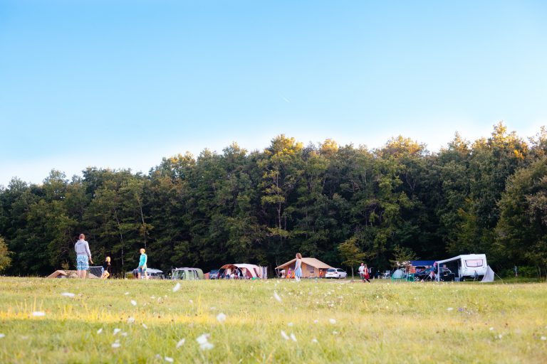 Camping Domaine De Corneuil Dordogne staanplaatsen 768x512