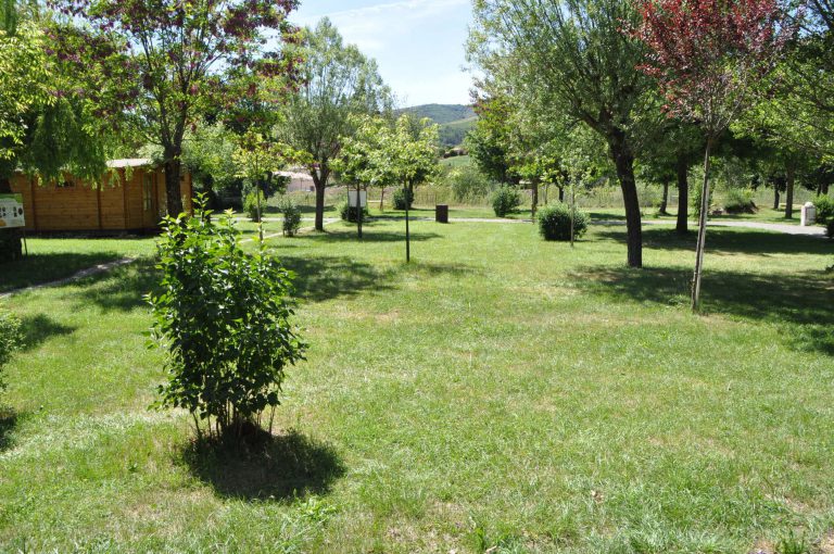 Camping Du Moulin De Thoard staanplaats 768x510