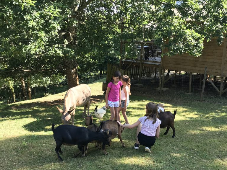 Camping L Offrerie Dordogne kinderboerderij 768x576