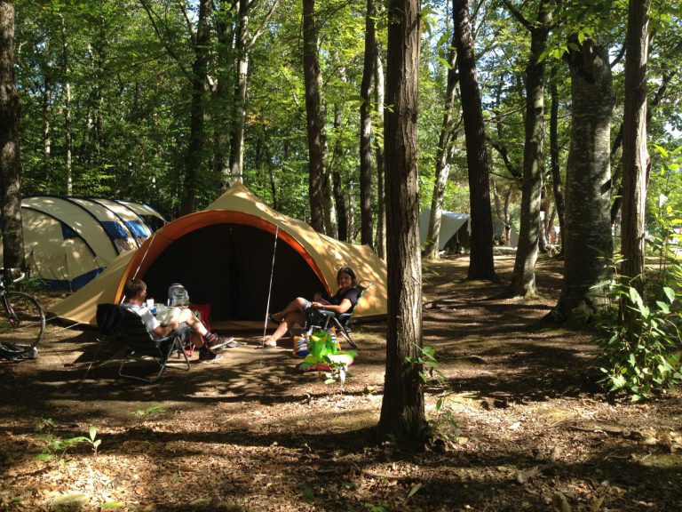 Camping Le Grand Bois Drome staanplaats in bos 768x576