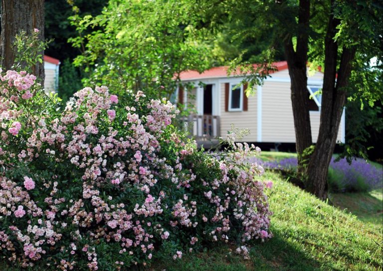 Camping Le Temps De Vivre Dordogne stacaravan huren 768x543