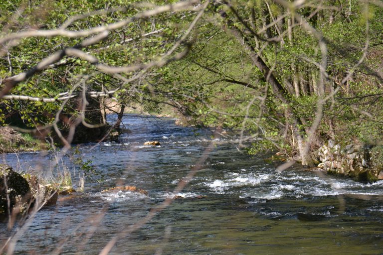 Camping Le Viaduc Ardeche rivier 768x512