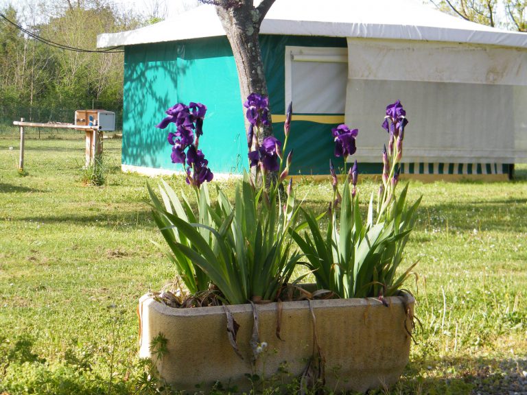 Camping Les Eychecadous tent huren 768x576