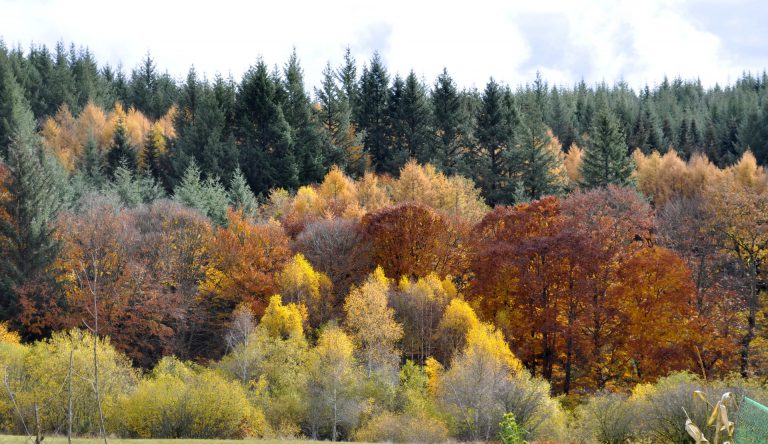 Guillerin Caravan Glamping omgeving 768x444