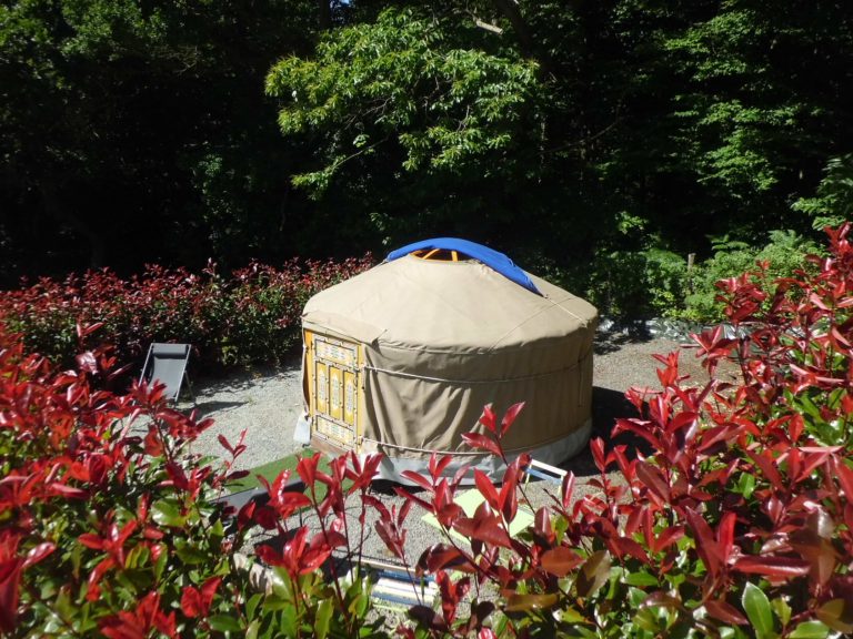 Camping Des Cerisiers yurt huren 768x576