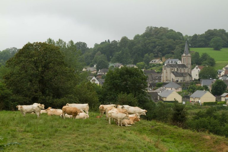 Camping L Anjou Gers omgeving 768x512