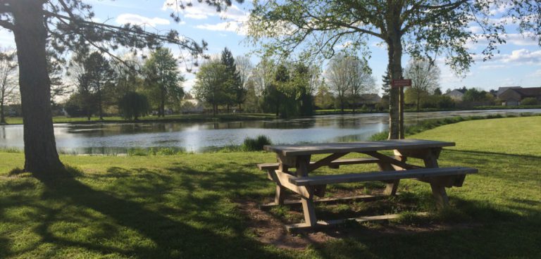 Camping Le Cardinal vismeer 768x368