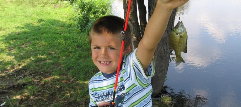 Camping Le Domaine Du Buisson vissen 768x343