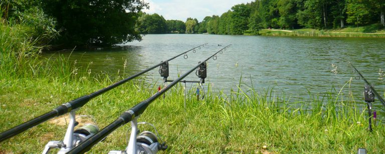 Camping Municipal du Lac Rioz 768x307