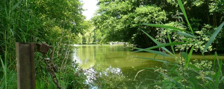 Camping Municipal du Lac aan een meer 768x307