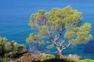 Campings aan de Côte d'Azur