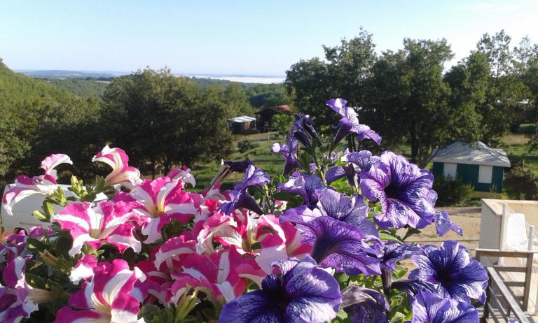 Camping Bellevue Lot  768x462