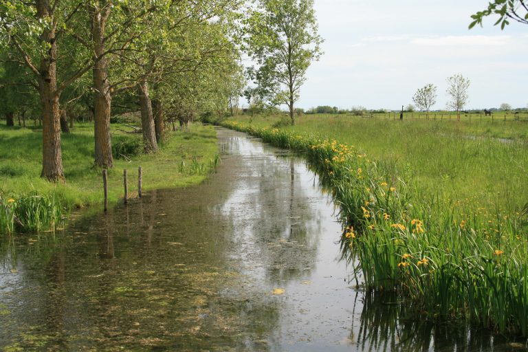 Camping La Clé Des Champs omgeving 768x512
