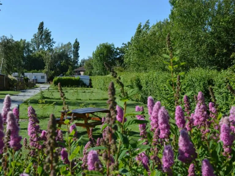 Camping La Petite Forêt staanplaats 768x576