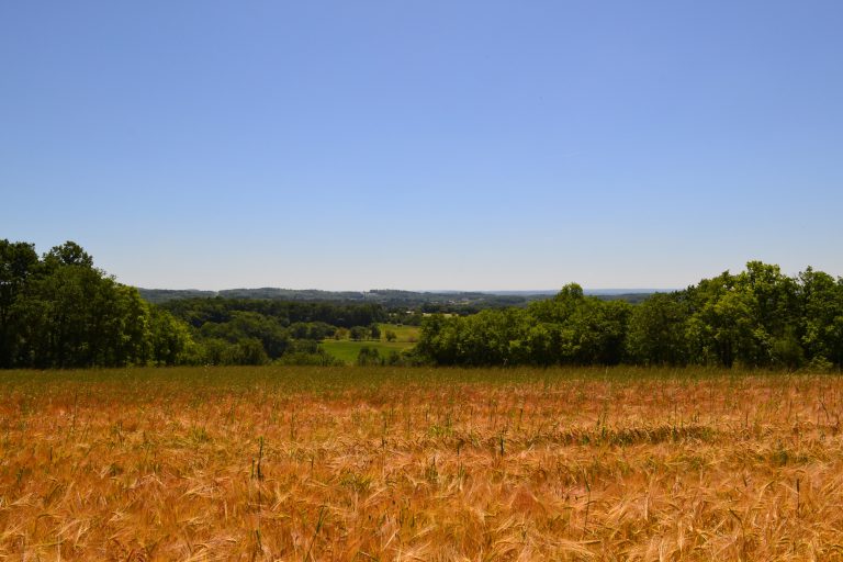 Camping Les Hirondelles omgeving 768x512