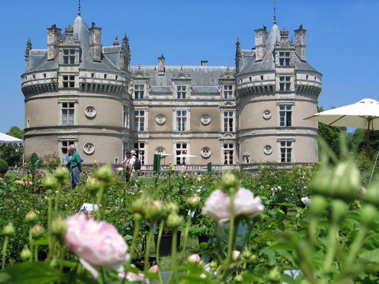 Camping Municipa Au Bord du Loir chateau 768x576