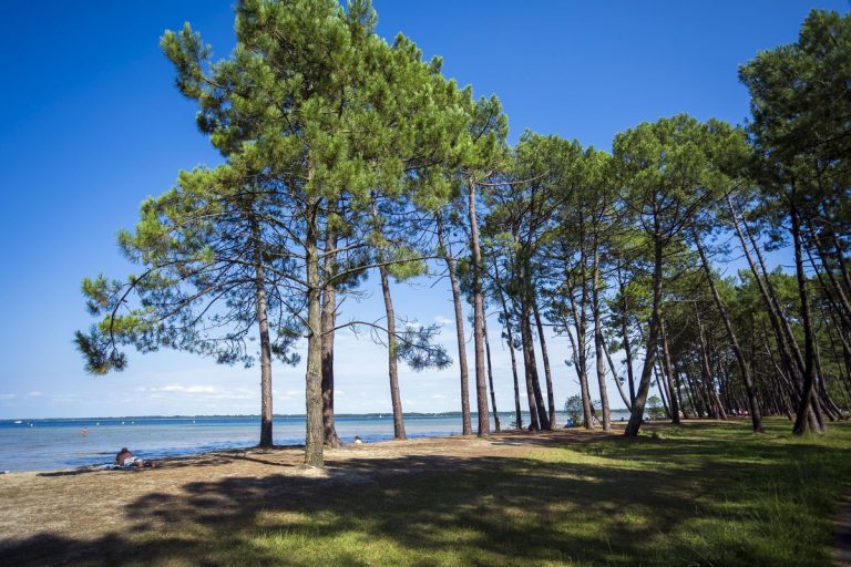 Camping Municipal Pipiou Landes strand 768x512