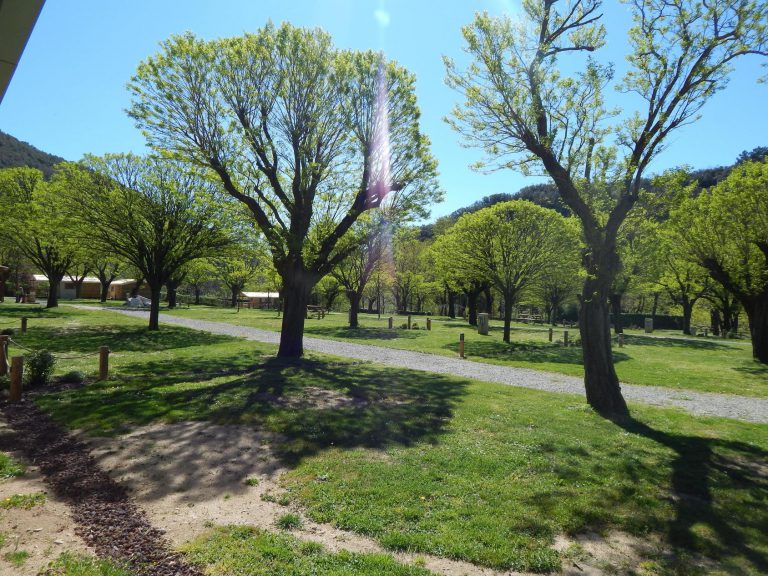 Camping La Charderie Ardeche staanplaatsen 768x576