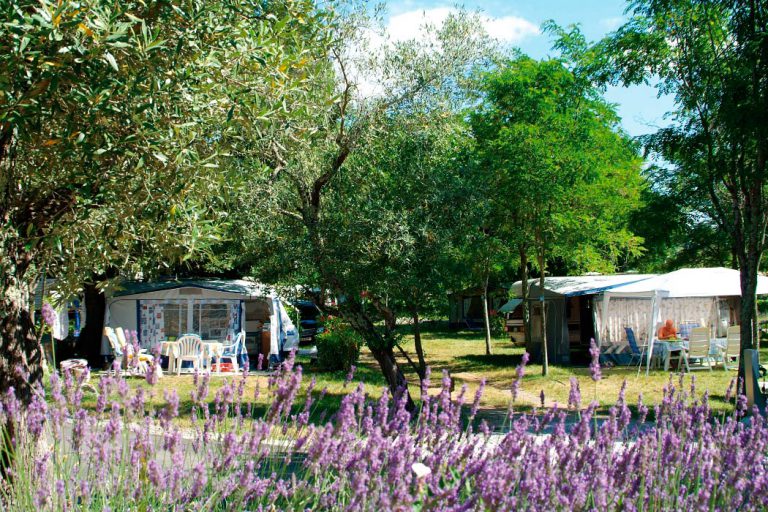 Camping Le Petit Bois Ardeche staanplaats 768x512