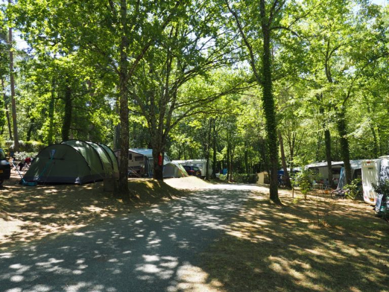 Camping Le Vezere Perigord Dordogne staanplaatsen 768x576