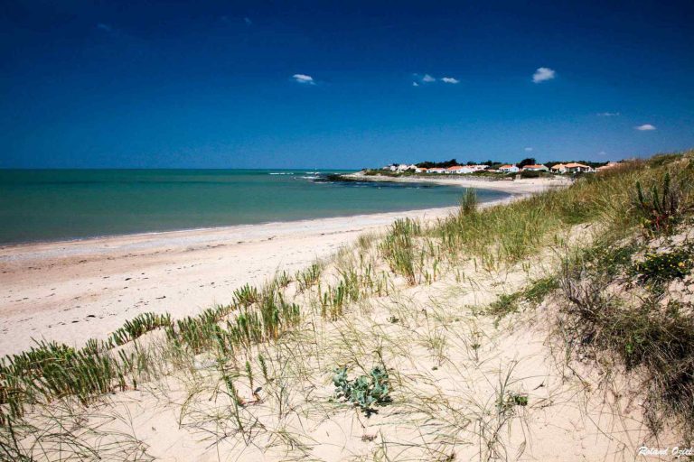 Camping Les Logeries Vendee strand 768x512
