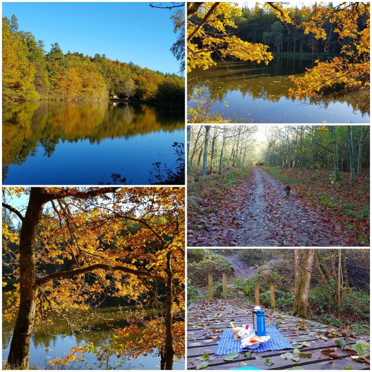 117992156 3642850012415826 664047694881963910 n 768x768