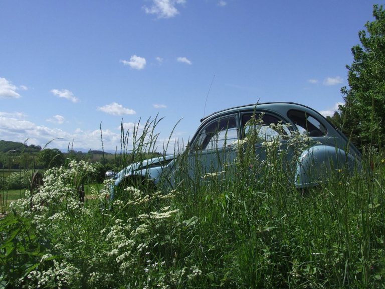 138405485 2929691623977376 7103071215926085920 n 768x576