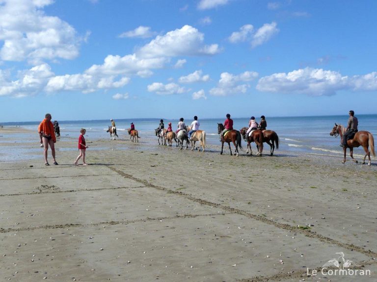 Camping Le Cormoran paardrijden 768x576