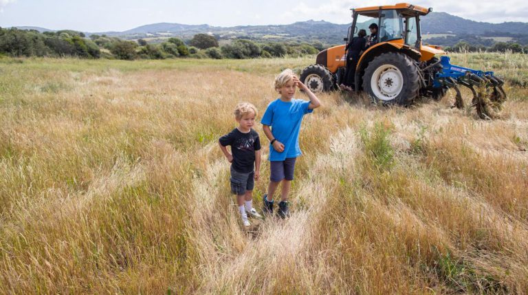 Boerencamping Figari Corsica  768x429