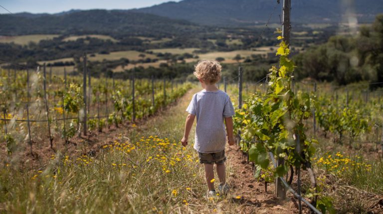 Boerencamping Figari Corsica omgeving 2 768x429