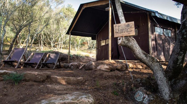 Boerencamping Figari Corsica tent 768x429