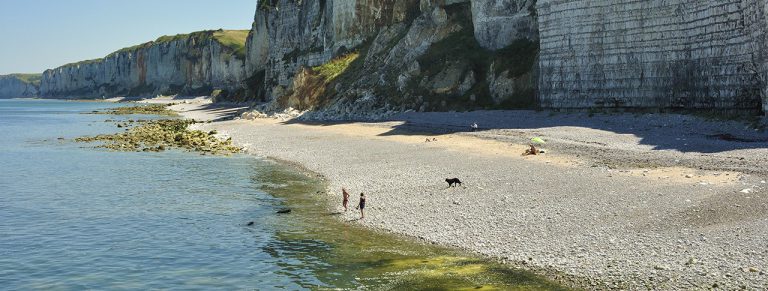 56499aaa819aa falaises yport 768x291