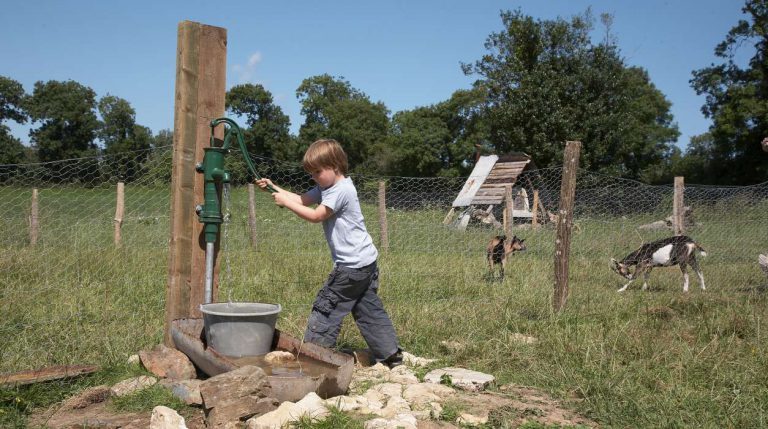 Boerencamping La Ferme de la Folivraie geiten 768x429