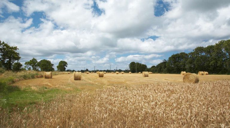 Boerencamping La Ferme de la Folivraie omgeving 768x429