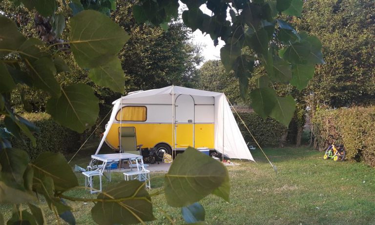 photo 637072720193801052 2 768x461