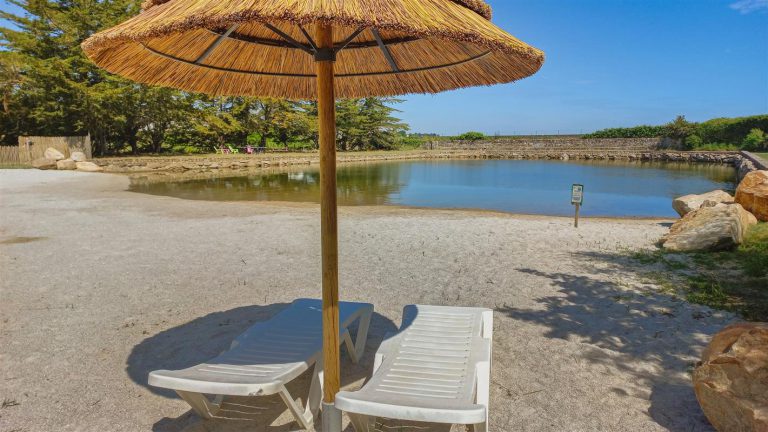 photo 637602276991893889 1 768x432