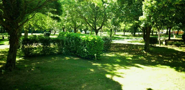 image emplacement 768x377