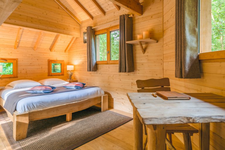 1606 01 02 canopee cdgc bd1 768x512