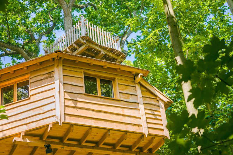 1606 01 04 canopee cdgc bd1 768x512