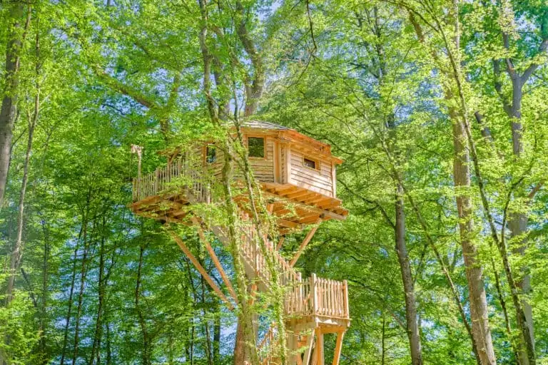 FT BE1 Estee 768x512