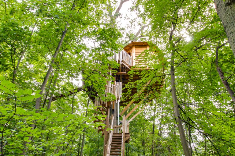 Carpe Diem 10 768x512