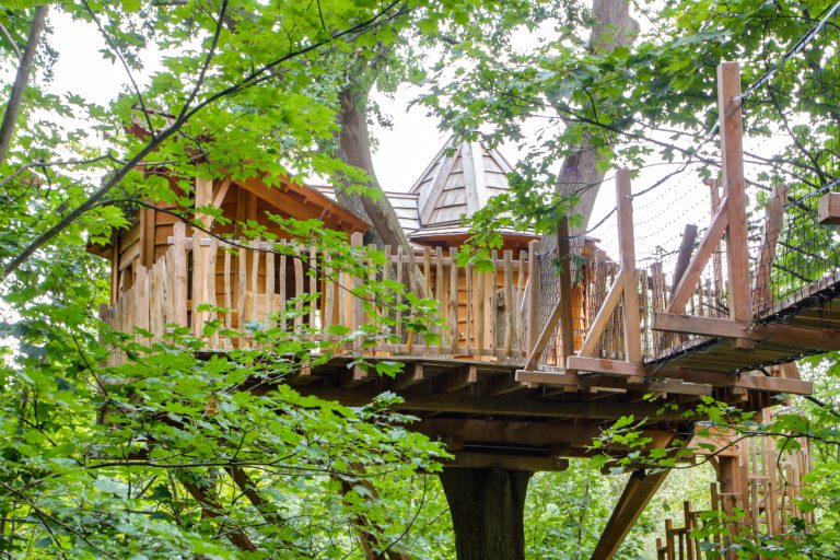 Carpe Diem 6 768x512