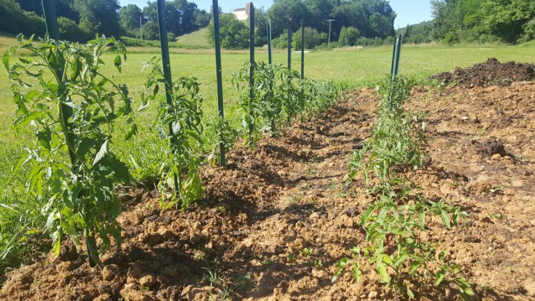 20210613 173309 001 1200x675 1 768x432