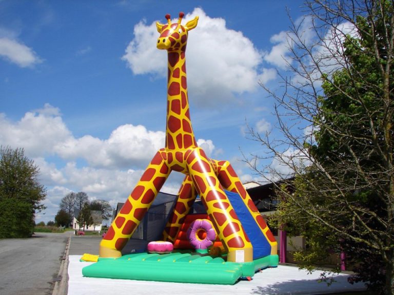 Girafe Balcon de la Baie 1 768x576