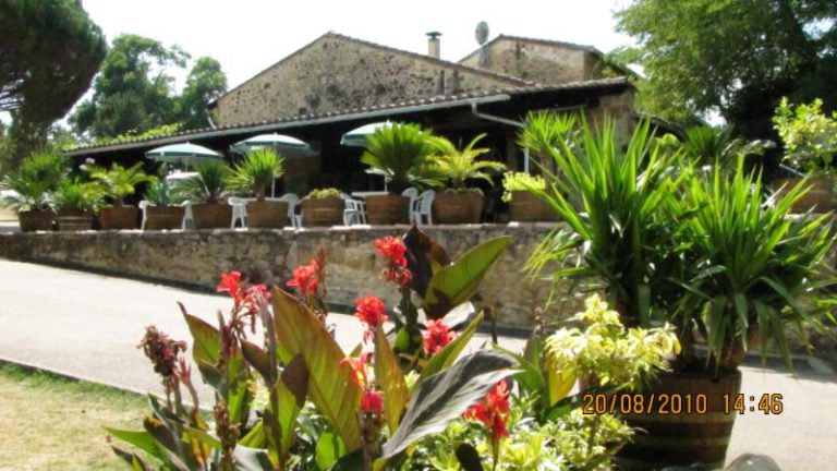 000001072441 768x432