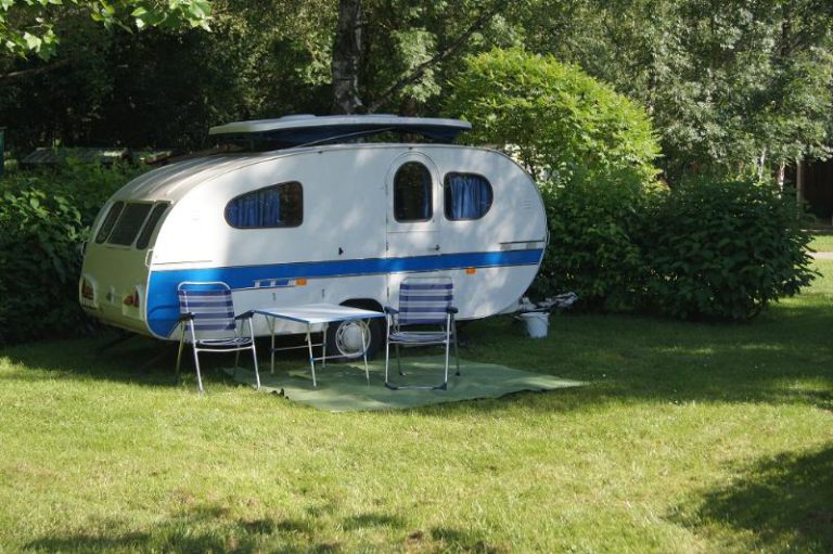 000002117161 768x511