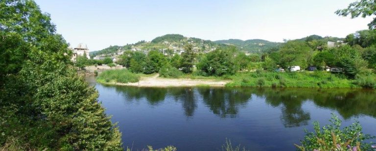 000002462751 768x310