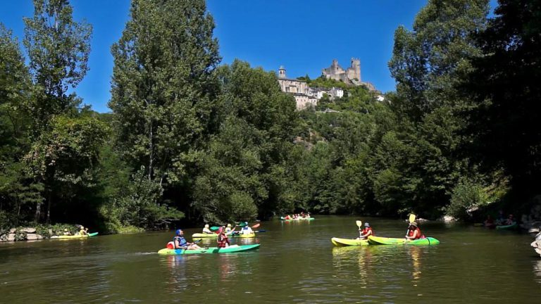 000003353461 768x432